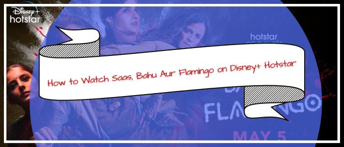 How to Watch Saas, Bahu Aur Flamingo on Disney+ Hotstar in USA
