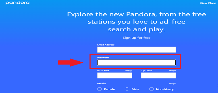 Pandora Sign Up Process Step 5