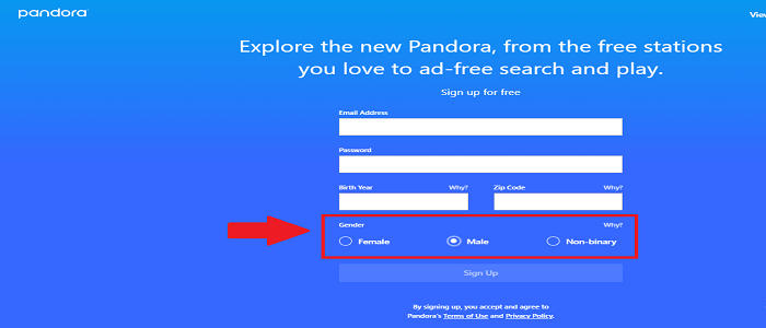Pandora Sign Up Process Step 7